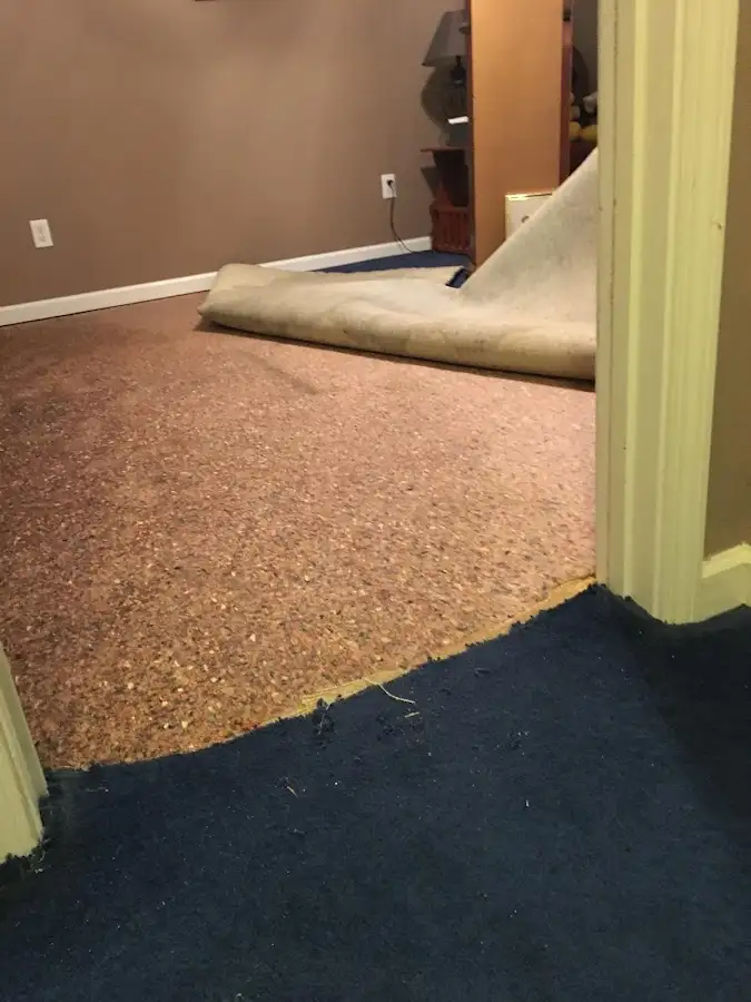 Carpet pad removal revealing water damage during Drying & Dehumidification in Beacon