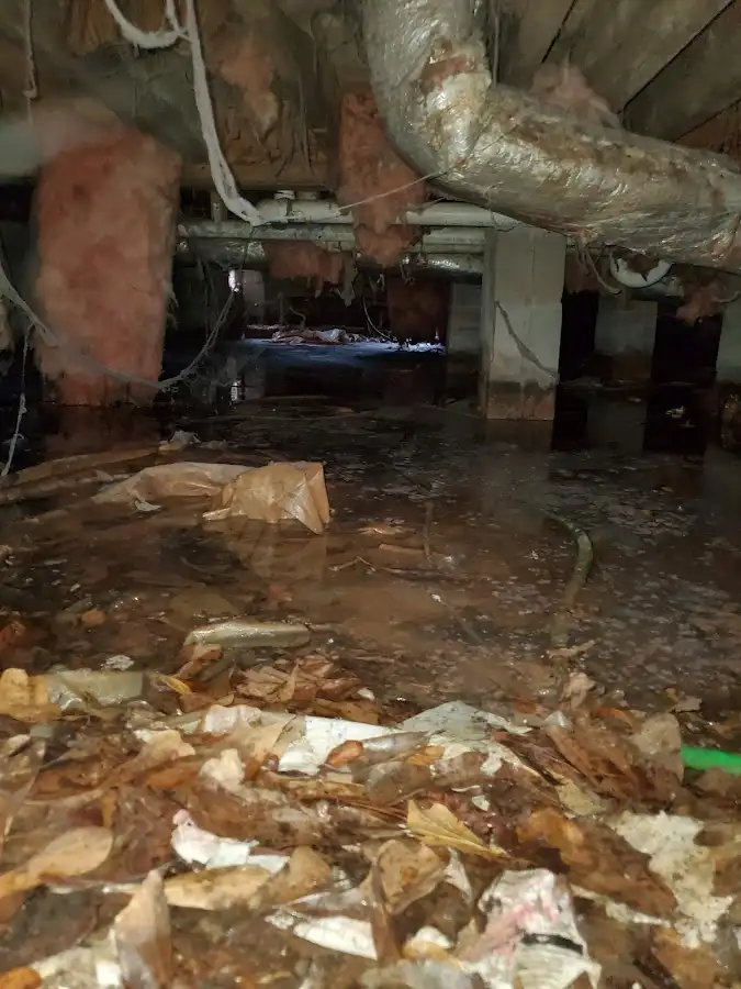 Crawl space flood assessment for Leak Detection & Repair in Beacon